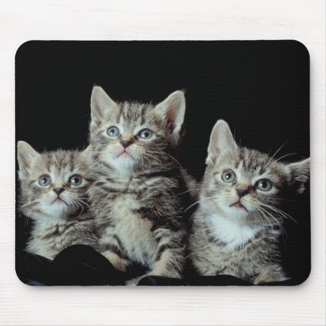 Adorable Kittens Mousepad (Vorne)