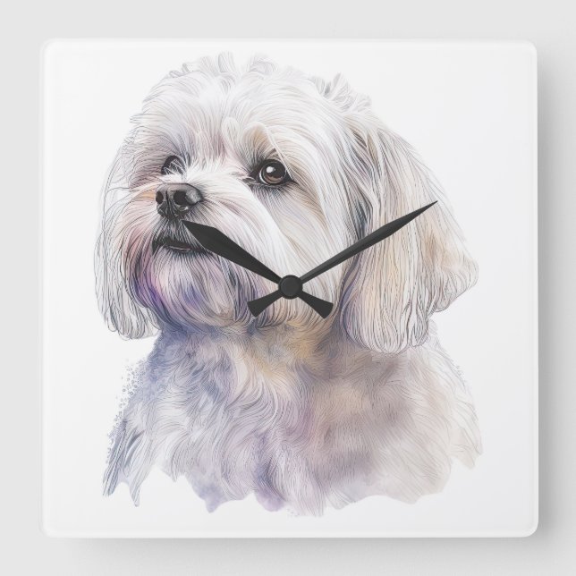 ADORABLE KLEINE WEISSE MALTESISCHE PUPPY HUND QUADRATISCHE WANDUHR (Vorderseite)