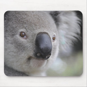 Adorable Koala Bear Mousepad