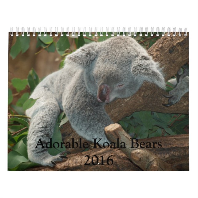 Adorable Koala Bears 2016 Calendrier (Protection)