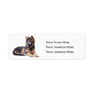 Adorable Long Hair German Shepherd Puppy