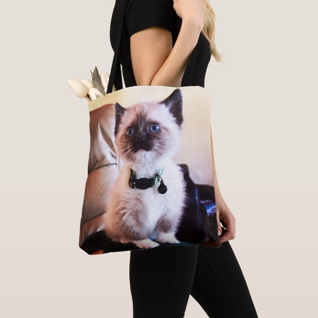 Adorable Masked Blue Mit Augen Siam Kitten Foto Tasche (Von Nahem)