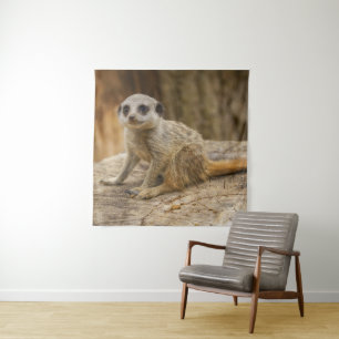 Adorable Meerkat Baby Wandteppich