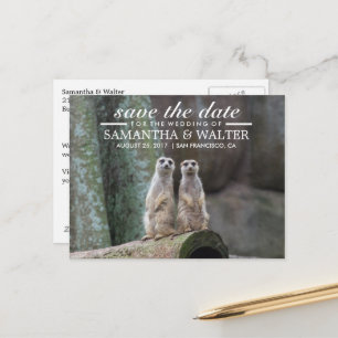 Adorable Meerkats Save the Date Ankündigungspostkarte