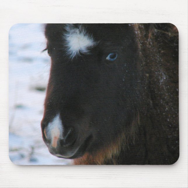 Adorable Mini Horse Fill Mousepad (Vorne)