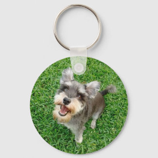 Adorable Miniatur Schnauzer Spielbereit Schlüsselanhänger