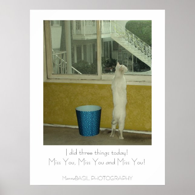 Adorable Miss You Poster ! (Devant)