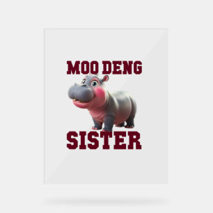 Adorable MOO DENG SISTER Baby Hippo Bestie Princes