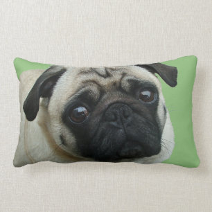 Adorable Mops American MoJo Lumbar Pillows Lendenkissen