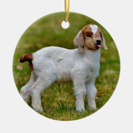 Adorable Newborn Boer Goat Kid Keramik Ornament