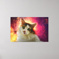 Adorable Niedlich Calico Cat