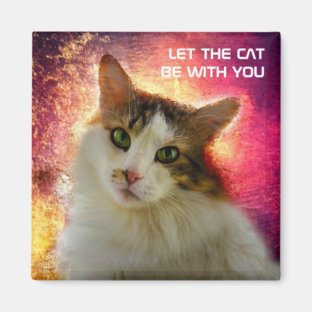 Adorable Niedlich Calico Cat Magnet (Vorne)