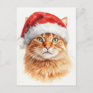 Adorable Orange Tabby Cat in Santa Hat Feiertagspostkarte