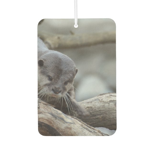 Adorable Otter Autolufterfrischer (Vorderseite)