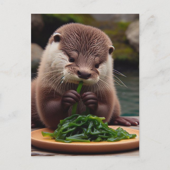 Adorable Otter essen Algensalat Postkarte (Vorderseite)