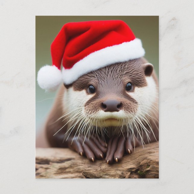 Adorable Otter-Weihnachtsmannmütze Postkarte (Vorderseite)