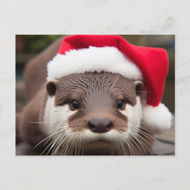 Adorable Otter-Weihnachtsmannmütze Postkarte (Vorderseite)