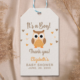 Adorable Owl Baby Shower Boy Geschenkanhänger