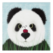 Adorable Panda Bear