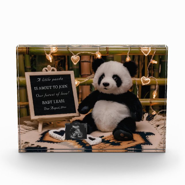 Adorable Panda Plushie Pregnancy Ankündigung Fotoblock (Vorderseite)