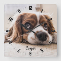 Adorable Personalisiert Hunde Foto