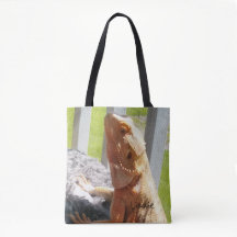 Adorable Personalisierte Bartdrachenbilder