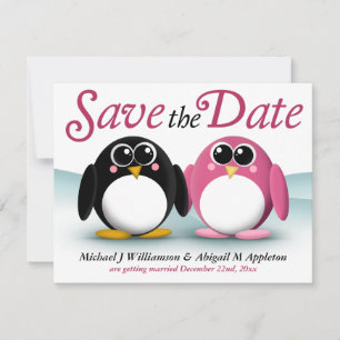 Adorable Pinguine speichern die Ankündigungen