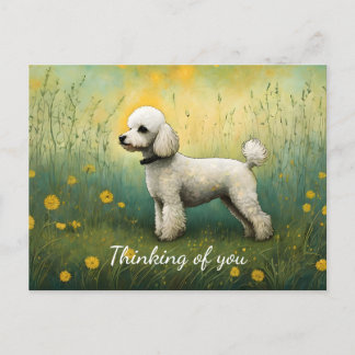 Adorable Poodle in der Wiese denken Sie Postkarte