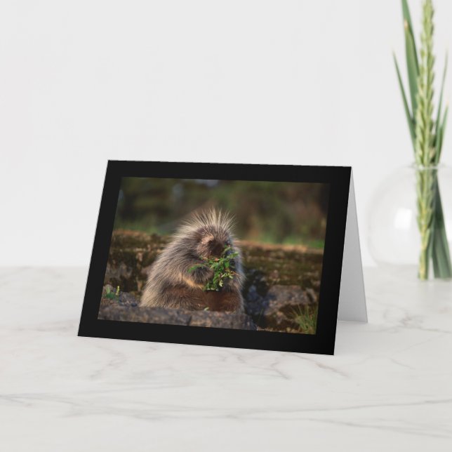 Adorable Porcupine Karte (Vorderseite)