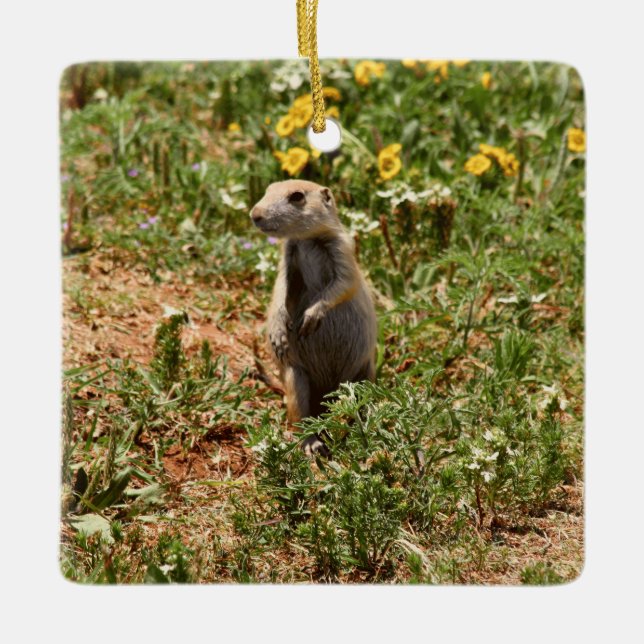 Adorable Prairie Dog Keramikornament (Vorderseite)