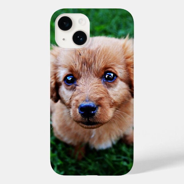 Adorable Puppy Cute Photo  Case-Mate iPhone 14 Hülle (Rückseite)
