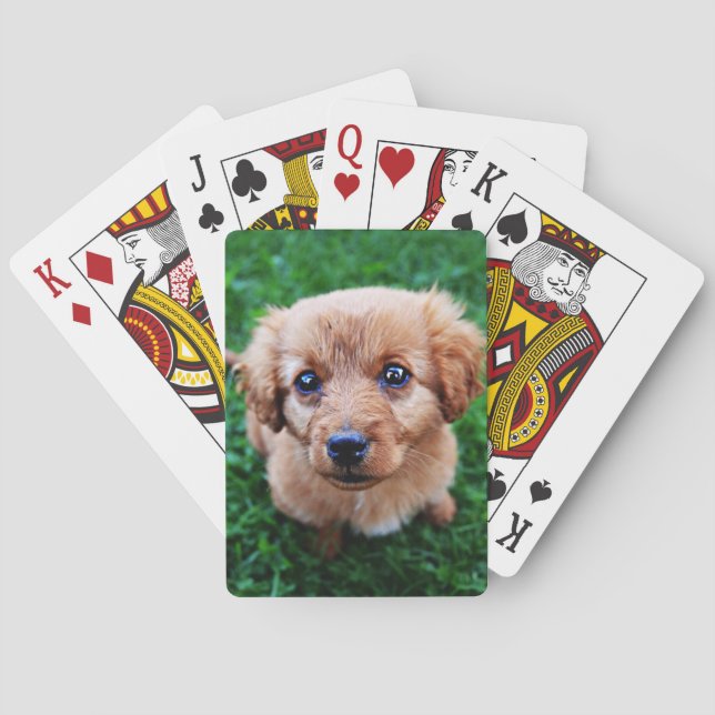 Adorable Puppy on Lawn Photo Spielkarten (Rückseite)