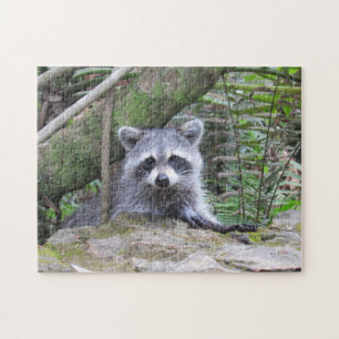 Adorable Raccoon im Forest Jigsaw Puzzle