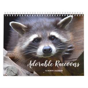Adorable Raccoons 2026 Kalender