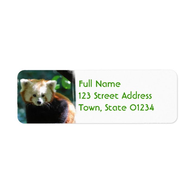 Adorable Red Panda Étiquettes de messagerie (Devant)