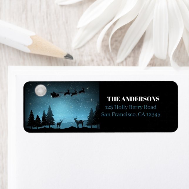 Adorable Reindeer At Night (Insitu)