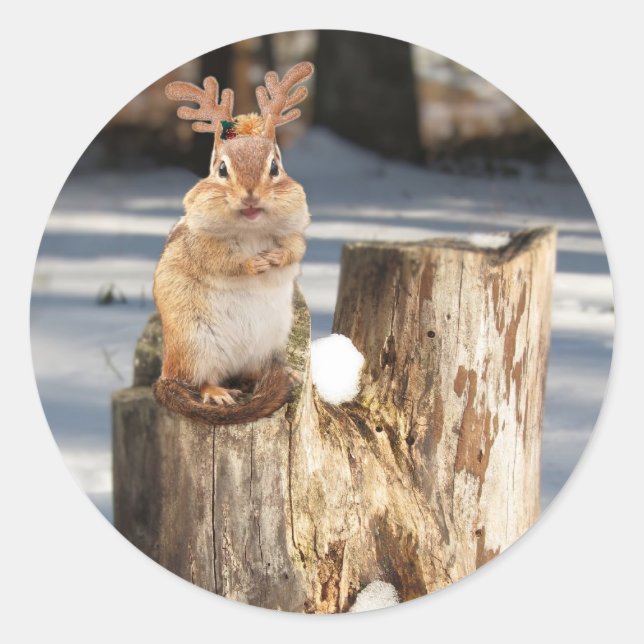 Adorable "Reindeer" Chipmunk Runder Aufkleber (Vorderseite)