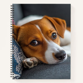 Adorable Resting Dog Notebook Notizbuch