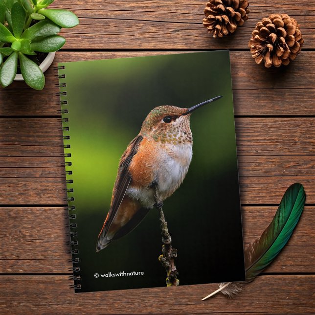 Adorable Rufous Hummingbird auf dem Zweig Notizblock (Rufous Hummingbird Poses on the Hybrid Fruit Tree Journal Cover Photo 2)