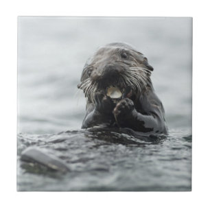 Adorable Sea Otter Fliese