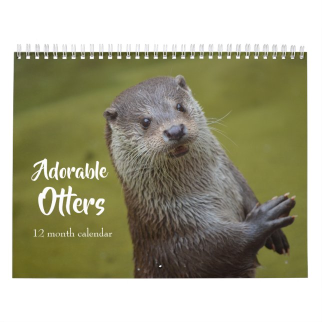 Adorable Sea Otters 2026 Kalender (Titelbild)