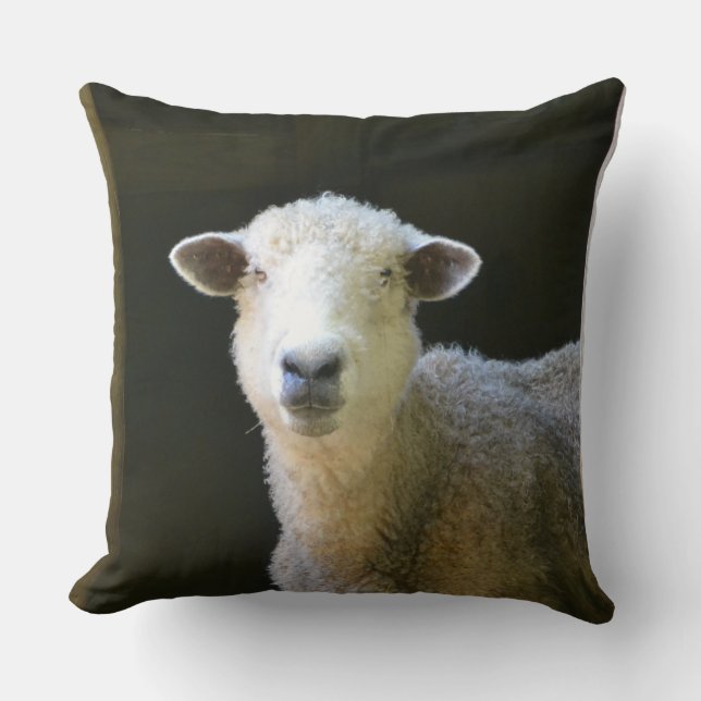 Adorable Sheep Kissen (Vorderseite)