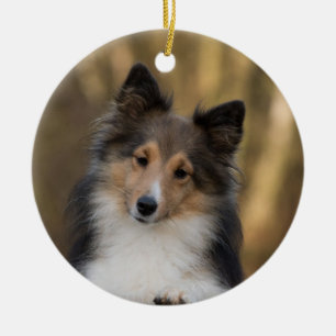 Adorable Sheltie Keramik Ornament