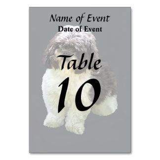 Adorable Shih Tzu Puppy Tischnummer