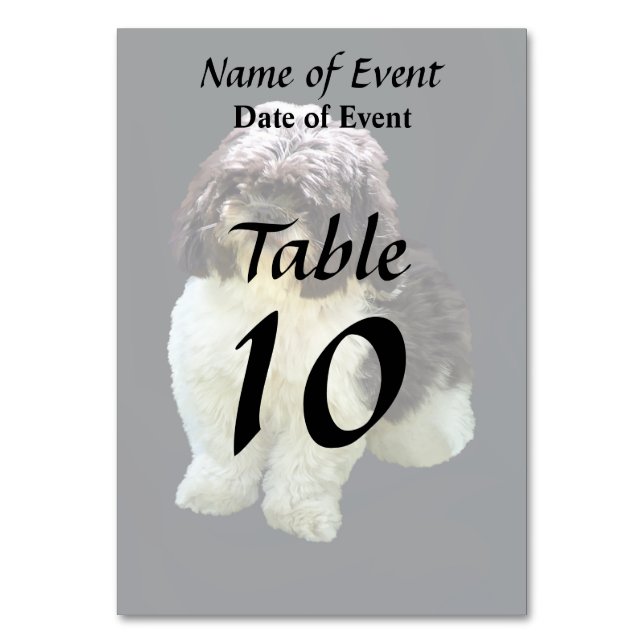 Adorable Shih Tzu Puppy Tischnummer (Vorderseite)