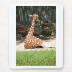 Adorable Sitting Giraffe Mousepad