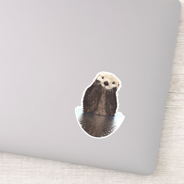 Adorable Smilch Otter im Lake Aufkleber (Detail)