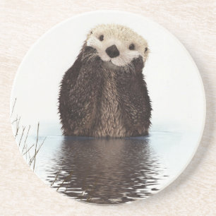 Adorable Smilch Otter im Lake Getränkeuntersetzer