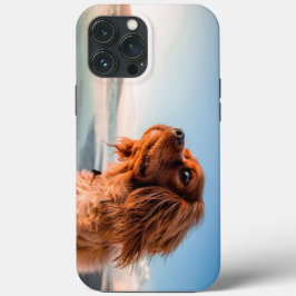 Adorable Staring Hund mit Blue Sky Hintergrund Case-Mate iPhone Hülle