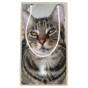 Adorable Tabby Cat Foto Geschenktasche Kleine Geschenktüte